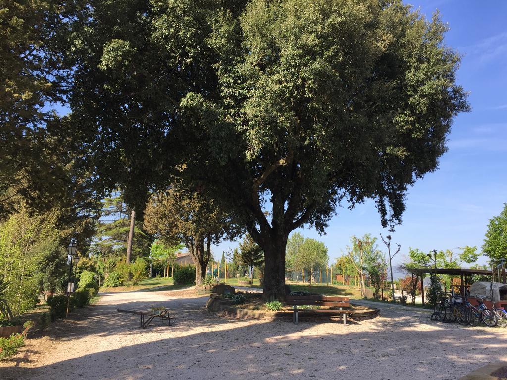 "Villa Bizzi" Monte Castelli Экстерьер фото